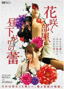 导演分析